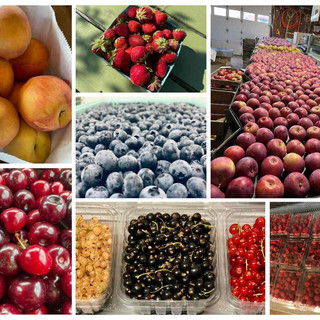 Bayfield Foods CSA