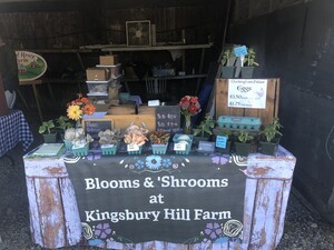 Blooms & 'Shrooms at Kinsbury Hill Farm