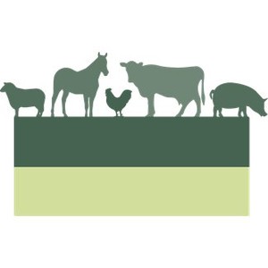 The Grass Fed Company