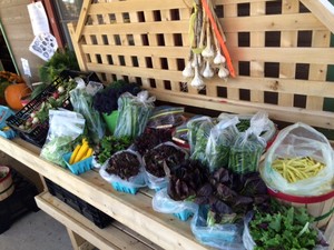 Farm Fresh Selects CSA