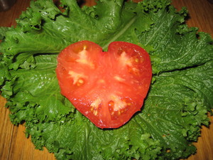 My Minnesota Farmer CSA