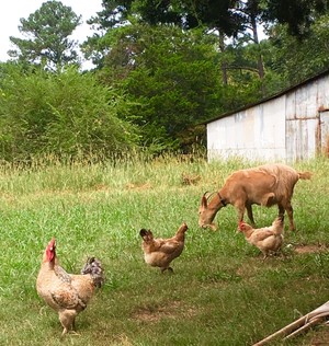 Worth It Farms, LLC