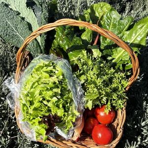 Central Texas Farmers Co-op