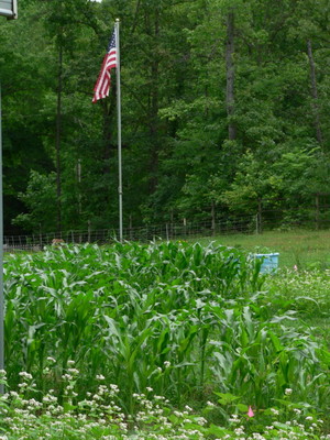 Laingcroft Farm