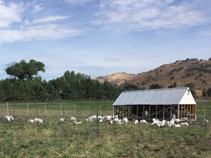 Brite Creek Farm