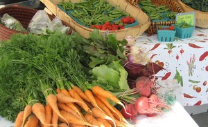 Roberson's Rocky River Farm