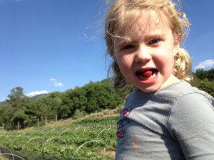 Southwest Farm Fresh Cooperative