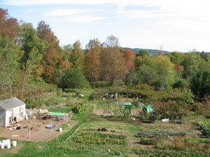Leaning Apple Gardens