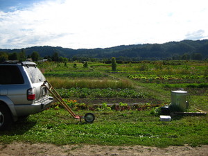 Happy Tortoise Farm