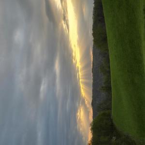 Rufener Farms