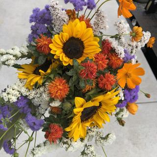 Aspen Moon Farm LLC