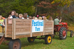 Festival Farm