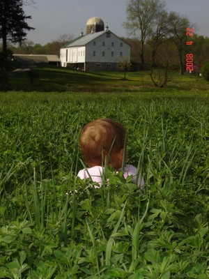 Carrollton