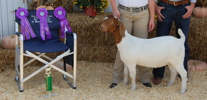 Trossbach Hilltop Farm