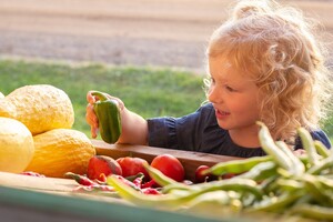 Ellie's Veggie Stand
