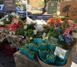 Neskowin Farmers Market