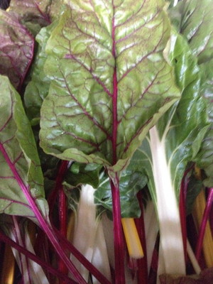 School Lunch Organic Farm & CSA