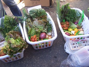 Tri-Community Co-op