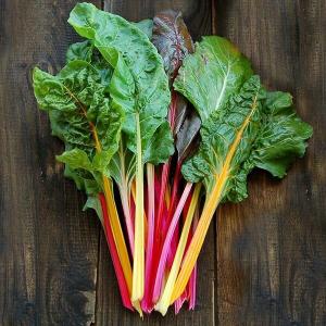Harvest Tide Organics