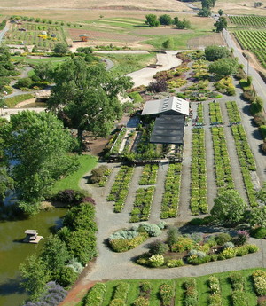 Shenandoah School Loop