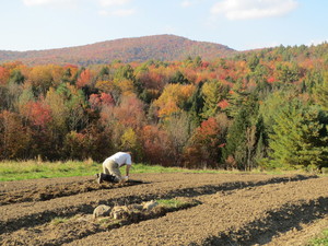 Sunnybrook Farm
