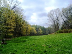 Stillhaven Farm