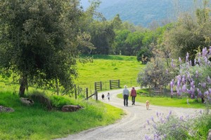 Horn Mountain Ranch
