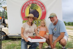 Whitted Bowers Farm