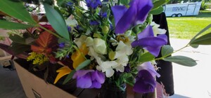 Kiel Farmers Market