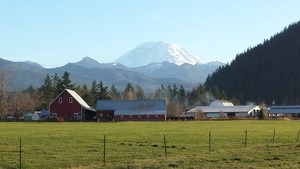 Zimmerman Farm & Organics