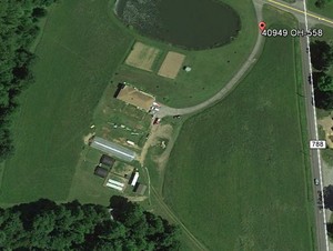 Dandelion Lane Farm