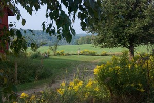 Bluebird Trail Farm