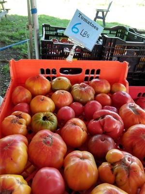 Brookwood Community Farm