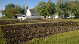Mighty Greens Farm