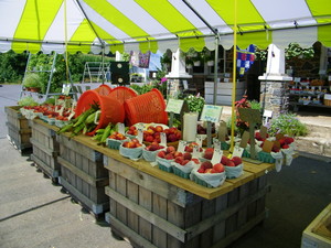 Wilson's Farm Market