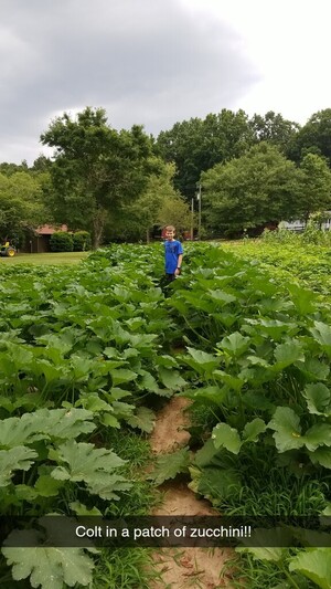 Storm Acres Farm