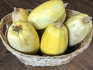 Stoney Lane Organic Farm