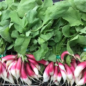 JR Organics