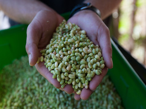 Orchard Pond Organics