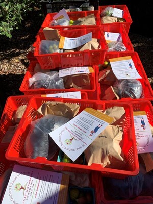 Home Orchard Education Center