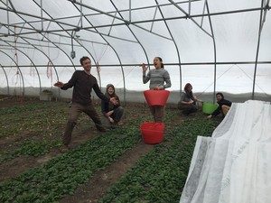 Family Circle Centennial Farm