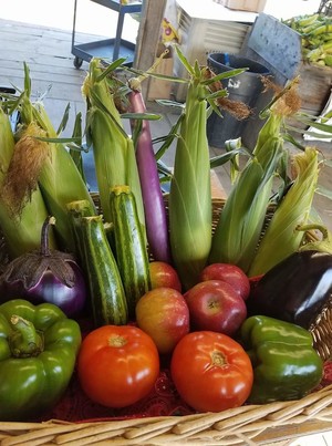 Chris's Farm Stand
