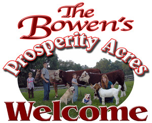 Prosperity Acres