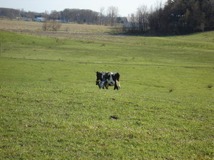 Bohnke Farms