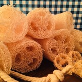 Tangled Vines Farm