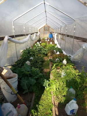 My Little Farm