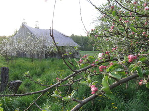 Highwater Farms