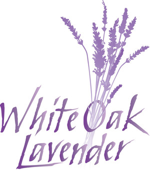 White Oak Lavender Farm