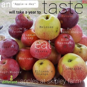 Skipley Farm