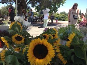 Vista Farmers Market
